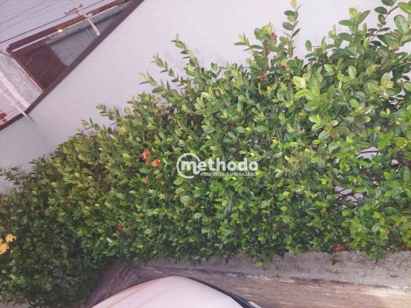 Imagem Casa com 3 Quartos à Venda, 150 m² em Cidade Jardim - Campinas Imagem Casa com 3 Quartos à Venda, 150 m² em Cidade Jardim - Campinas