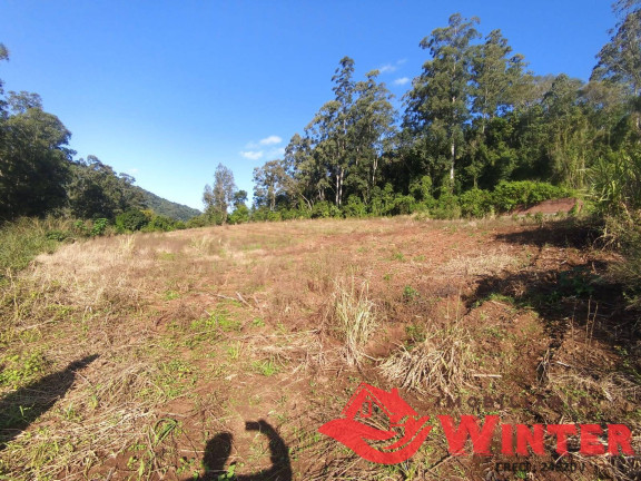 Imagem Chácara à Venda, 33.000 m² em Bananal - Feliz
