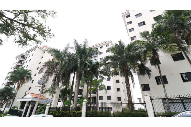 Imagem Apartamento com 3 Quartos à Venda, 75 m² em Butantã - São Paulo Imagem Apartamento com 3 Quartos à Venda, 75 m² em Butantã - São Paulo