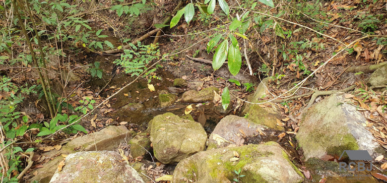 Imagem Terreno à Venda, 3 m² em Caio Martins - Esmeraldas