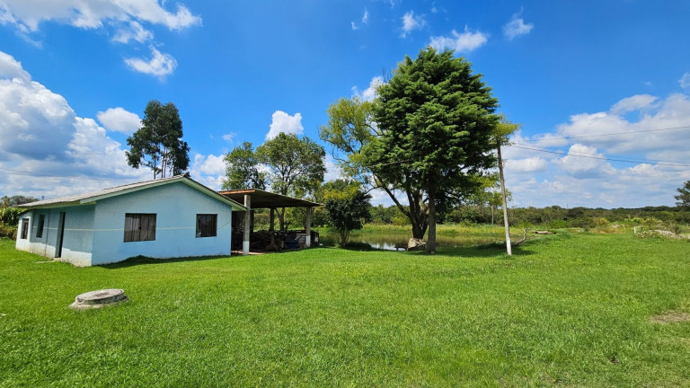 Fazenda à Venda,  em Iguaçu - Araucaria