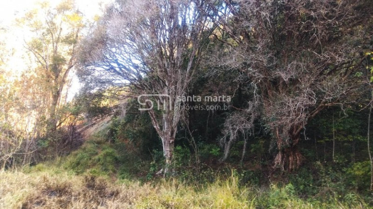 Imagem Imóvel à Venda, 1 m² em Bairro Da Tabuleta - Piquete