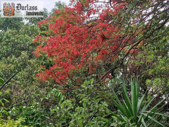 Imagem Chácara com 5 Quartos à Venda, 350 m² em Chácara Recreio Danubio - Holambra Imagem Chácara com 5 Quartos à Venda, 350 m² em Chácara Recreio Danubio - Holambra