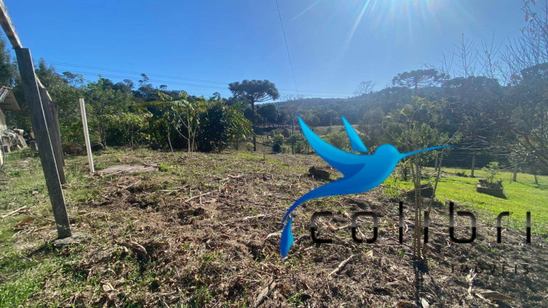 Imagem Chácara com 3 Quartos à Venda, 9.750 m² em Ribeirão Grande - Agudos Do Sul