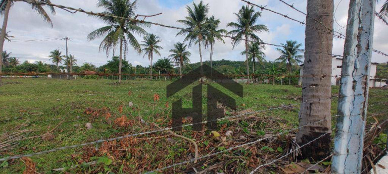 Imagem Terreno à Venda, 1.250 m² em Cruz Do Rebouças - Igarassu Imagem Terreno à Venda, 1.250 m² em Cruz Do Rebouças - Igarassu