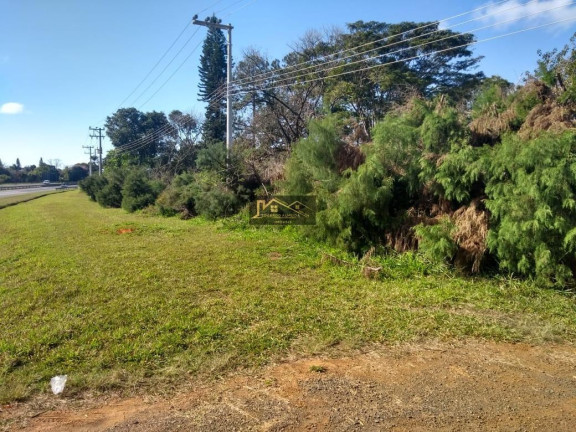 Imagem Imóvel à Venda, 55.000 m² em Barreiros - Araçoiaba Da Serra Imagem Imóvel à Venda, 55.000 m² em Barreiros - Araçoiaba Da Serra
