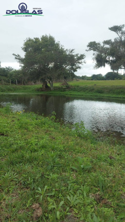 Imagem Chácara com 3 Quartos à Venda, 20.000 m² em Viamão Imagem Chácara com 3 Quartos à Venda, 20.000 m² em Viamão