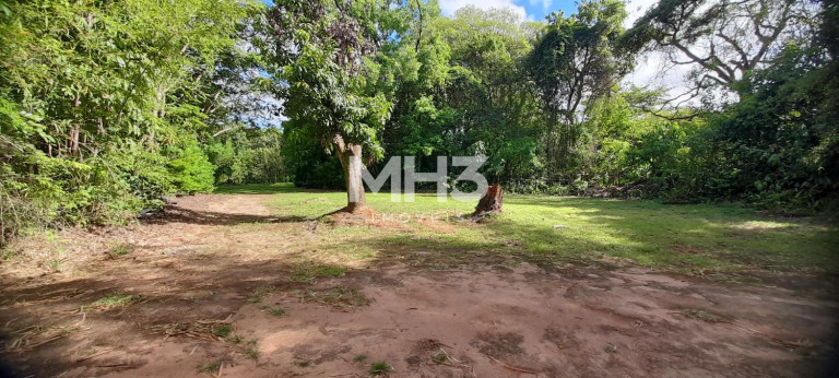 Imagem Imóvel com 4 Quartos à Venda, 300 m² em Santa úrsula - Jaguariúna Imagem Imóvel com 4 Quartos à Venda, 300 m² em Santa úrsula - Jaguariúna