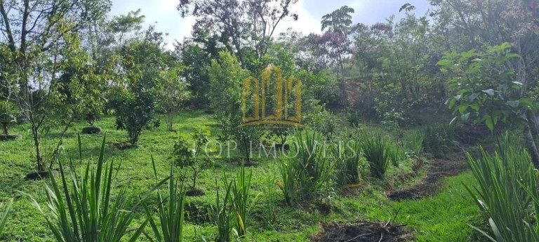 Imagem Chácara com 2 Quartos à Venda, 5.700 m² em Jardim Colônia - Jacareí
