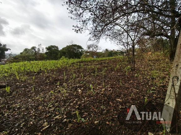 Imagem Terreno à Venda, 353 m² em Jundiaizinho (terra Preta) - Mairiporã