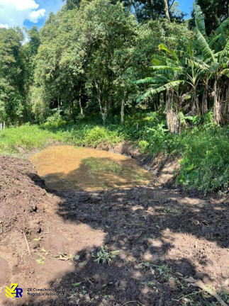 Imagem Chácara à Venda, 41 m² em Pitangueiras - Pedra Bela