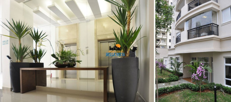 Imagem Apartamento com 2 Quartos à Venda, em Chácara Inglesa - São Paulo Imagem Apartamento com 2 Quartos à Venda, em Chácara Inglesa - São Paulo