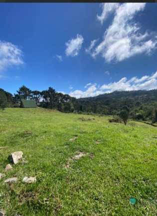 Imagem Imóvel com 1 Quarto à Venda, 20.000 m² em Zona Rural - Urubici