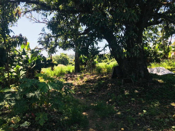 Imagem Terreno à Venda, em Farias - Araçoiaba Da Serra Imagem Terreno à Venda, em Farias - Araçoiaba Da Serra