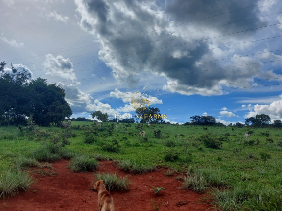 Imagem Imóvel com 3 Quartos à Venda, 45.500 m² em Zona Rural - Minaçu Imagem Imóvel com 3 Quartos à Venda, 45.500 m² em Zona Rural - Minaçu