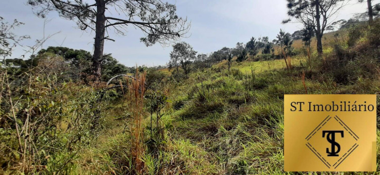 Imagem Chácara com 3 Quartos à Venda, 72.000 m² em Estância Santa Maria Do Portão - Atibaia Imagem Chácara com 3 Quartos à Venda, 72.000 m² em Estância Santa Maria Do Portão - Atibaia