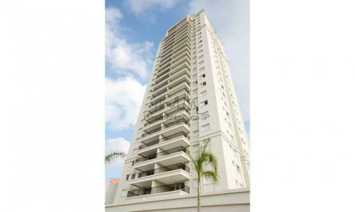 Imagem Apartamento com 3 Quartos à Venda, 97 m² em Vila Gomes Cardim - São Paulo