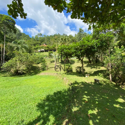 Imagem Imóvel com 6 Quartos à Venda, 65.000 m² em Tomaz Coelho - Brusque Imagem Imóvel com 6 Quartos à Venda, 65.000 m² em Tomaz Coelho - Brusque