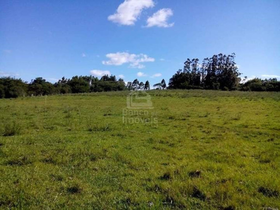 Imagem Imóvel com 3 Quartos à Venda, 62.000 m² em Zona Rural - Formigueiro