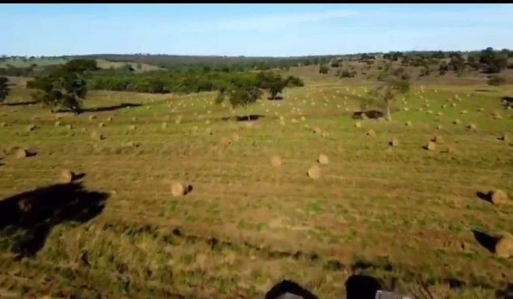 Imagem Fazenda à Venda, 4.534 m² em Rural - Camapuã Imagem Fazenda à Venda, 4.534 m² em Rural - Camapuã