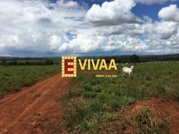 Imagem Fazenda à Venda, 21 m² em Novo São Joaquim Imagem Fazenda à Venda, 21 m² em Novo São Joaquim