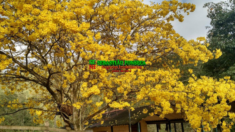 Imagem Fazenda à Venda, 46 m² em Zona Rural De Paraibuna - Paraibuna Imagem Fazenda à Venda, 46 m² em Zona Rural De Paraibuna - Paraibuna