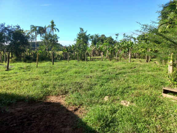 Imagem Terreno à Venda, 9.000 m² em Vila Nova - Joinville Imagem Terreno à Venda, 9.000 m² em Vila Nova - Joinville