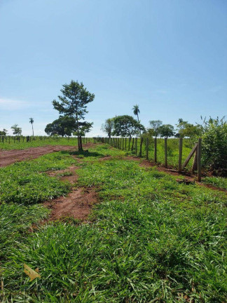 Imagem Chácara com 2 Quartos à Venda, 120 m² em área Rural  - Terenos