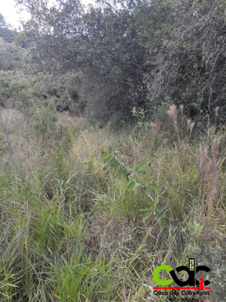 Imagem Imóvel à Venda, 3.000 m² em Rio Verde - Caldas Imagem Imóvel à Venda, 3.000 m² em Rio Verde - Caldas