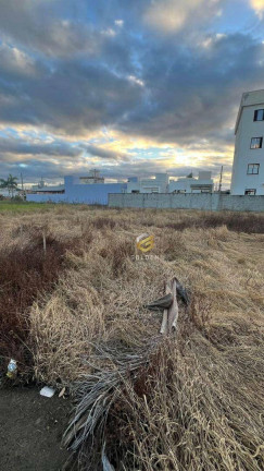 Imagem Terreno à Venda, 360 m² em Loteamento Bosque Da Mata - Tijucas Imagem Terreno à Venda, 360 m² em Loteamento Bosque Da Mata - Tijucas