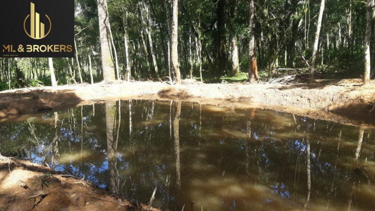 Imagem Imóvel à Venda, 60.500 m² em Quitandinha - Quitandinha Imagem Imóvel à Venda, 60.500 m² em Quitandinha - Quitandinha
