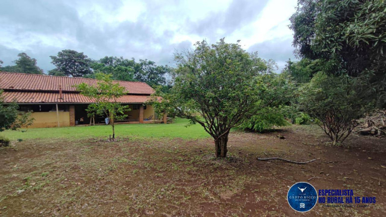 Imagem Chácara com 4 Quartos à Venda, 2 m² em Zona Rural - Hidrolândia Imagem Chácara com 4 Quartos à Venda, 2 m² em Zona Rural - Hidrolândia