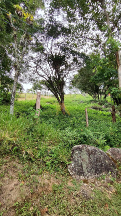 Imagem Terreno à Venda, em Ferrugem - Garopaba Imagem Terreno à Venda, em Ferrugem - Garopaba