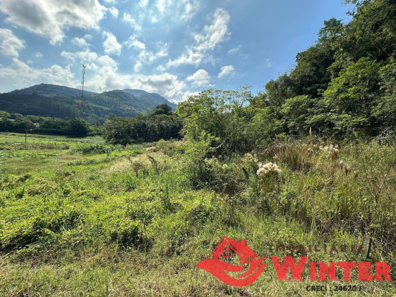 Imagem Terreno à Venda,  em Linha Neis - São Vendelino