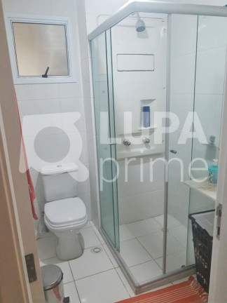 Imagem Apartamento com 3 Quartos à Venda, 65 m² em Vila Maria Alta - São Paulo Imagem Apartamento com 3 Quartos à Venda, 65 m² em Vila Maria Alta - São Paulo