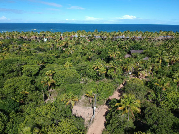 Terreno à Venda, 1.500 m² em Algodões - Marau