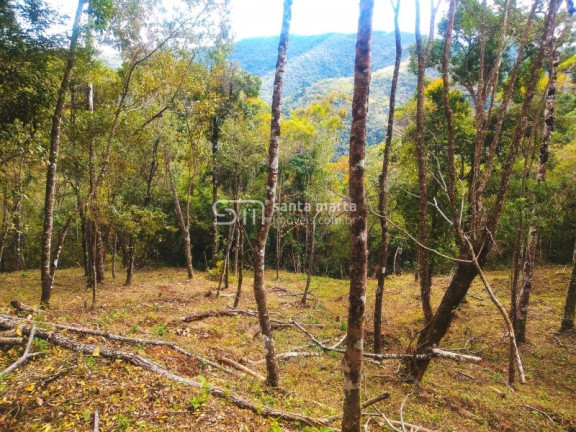 Imagem Imóvel com 1 Quarto à Venda, 5.000 m² em Casa Montanha - Delfim Moreira