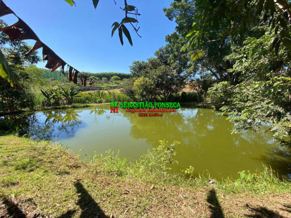 Chácara com 6 Quartos à Venda, 6.500 m² em área Rural De São José Dos Campos - São José Dos Campos