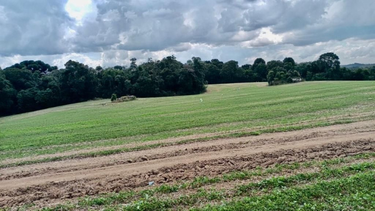 Imagem Fazenda à Venda, em Zona Rural - Araucaria Imagem Fazenda à Venda, em Zona Rural - Araucaria
