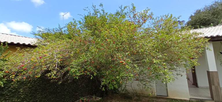 Imagem Fazenda à Venda, 200 m² em Abrantes - Camaçari Imagem Fazenda à Venda, 200 m² em Abrantes - Camaçari