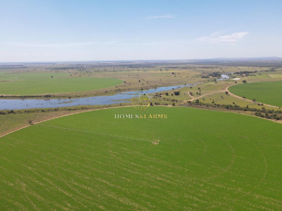 Imagem Imóvel com 3 Quartos à Venda, 5.290 m² em Zona Rural - Britânia Imagem Imóvel com 3 Quartos à Venda, 5.290 m² em Zona Rural - Britânia