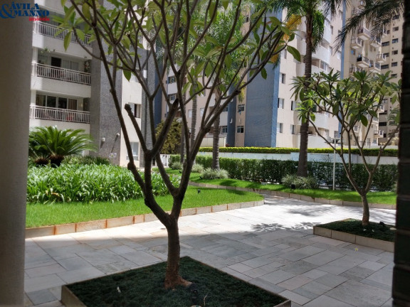 Imagem Imóvel com 3 Quartos à Venda, 170 m² em Tatupé - São Paulo Imagem Imóvel com 3 Quartos à Venda, 170 m² em Tatupé - São Paulo