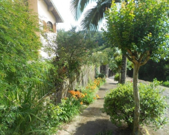 Imagem Casa com 5 Quartos à Venda, 360 m² em Juriti - Nova Petrópolis