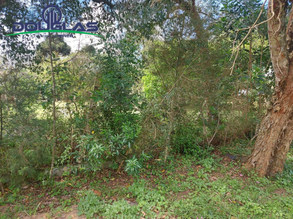 Imagem Terreno à Venda, 600 m² em águas Claras - Viamão Imagem Terreno à Venda, 600 m² em águas Claras - Viamão