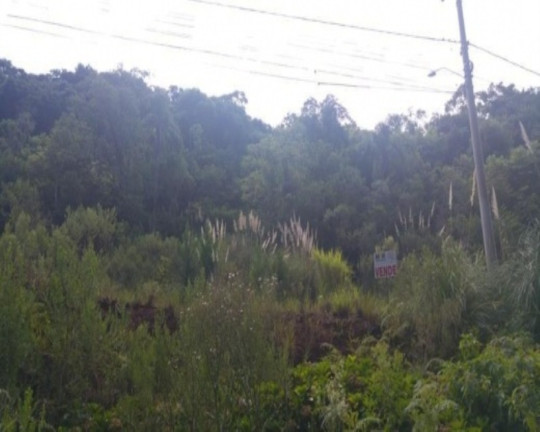 Imagem Terreno à Venda, 418 m² em Linha Imperial - Nova Petrópolis