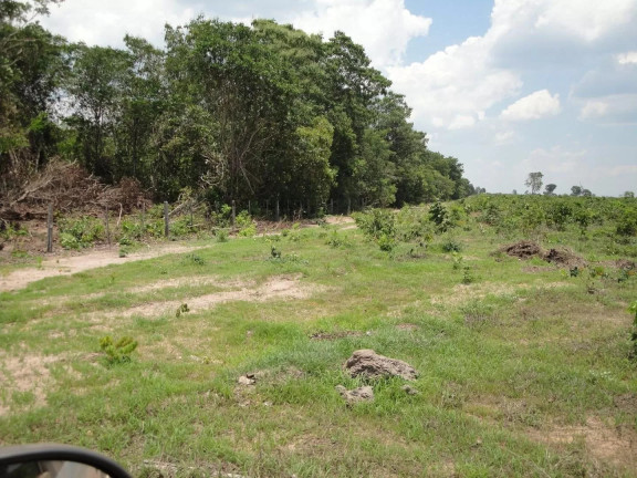 Imagem Fazenda à Venda, 500 m² em Zona Rural - Paranatinga