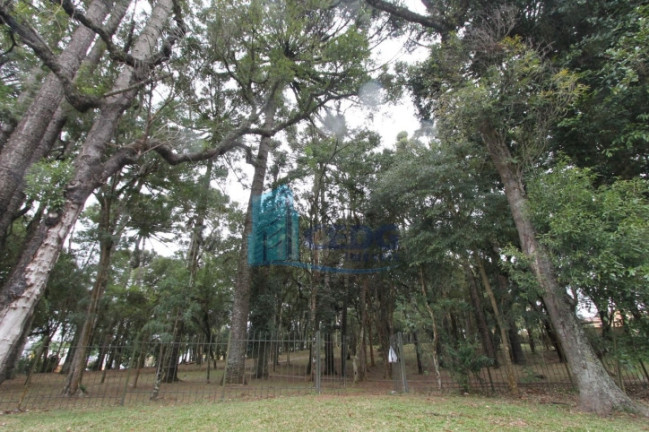Foto do imóvel Apartamento com 3 Quartos à Venda, 150 m² em Boa Vista - Curitiba