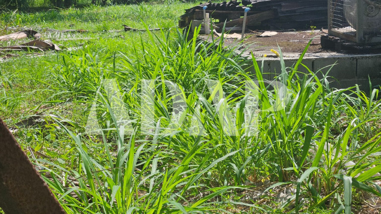 Imagem Terreno à Venda, 1.170 m² em Vargem Grande - Rio De Janeiro Imagem Terreno à Venda, 1.170 m² em Vargem Grande - Rio De Janeiro