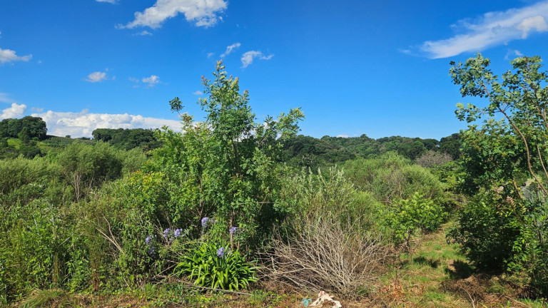 Imagem Fazenda à Venda, em Zona Rural - Contenda Imagem Fazenda à Venda, em Zona Rural - Contenda