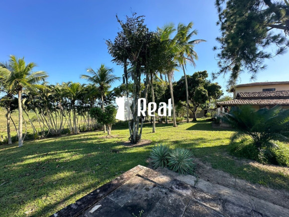 Imagem Fazenda à Venda, 1.300.000 m² em Centro - Mata De São João Imagem Fazenda à Venda, 1.300.000 m² em Centro - Mata De São João